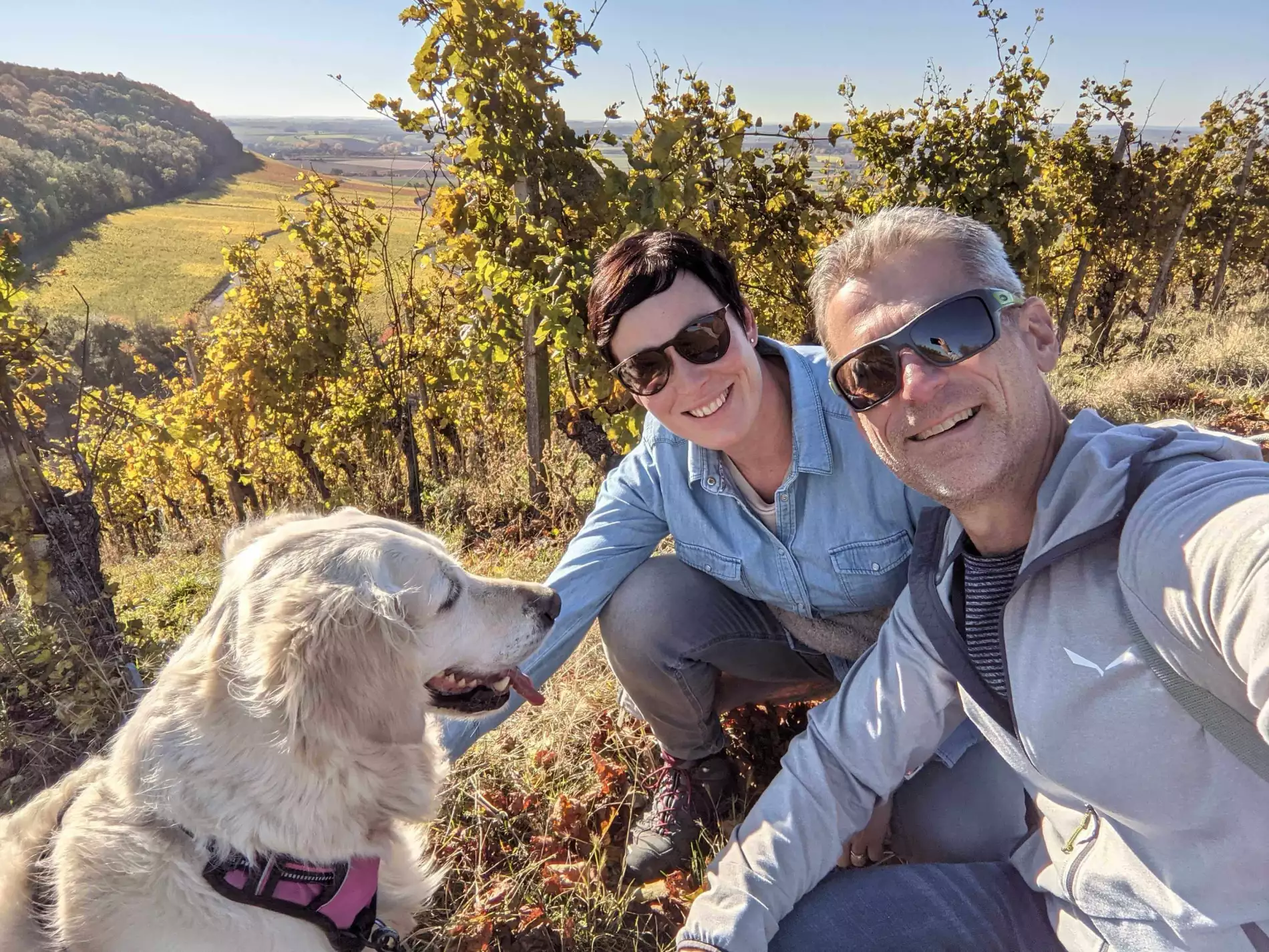 Urlaub mit Hund | Hotel Löwen Marktbreit